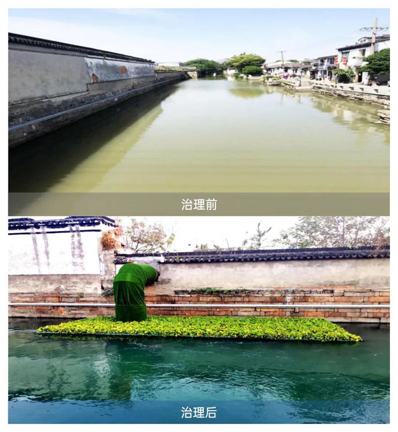 平江河獲獎-21.jpg 平江河獲獎-21.jpg